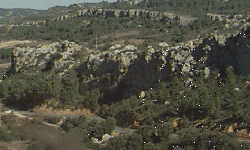 Pr�s de St Chinian